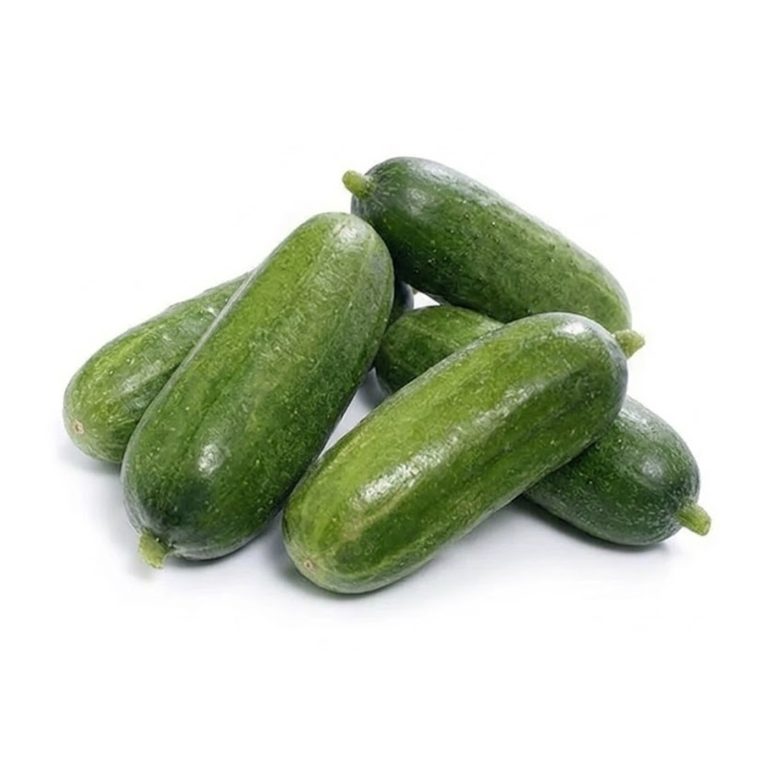 гледенький