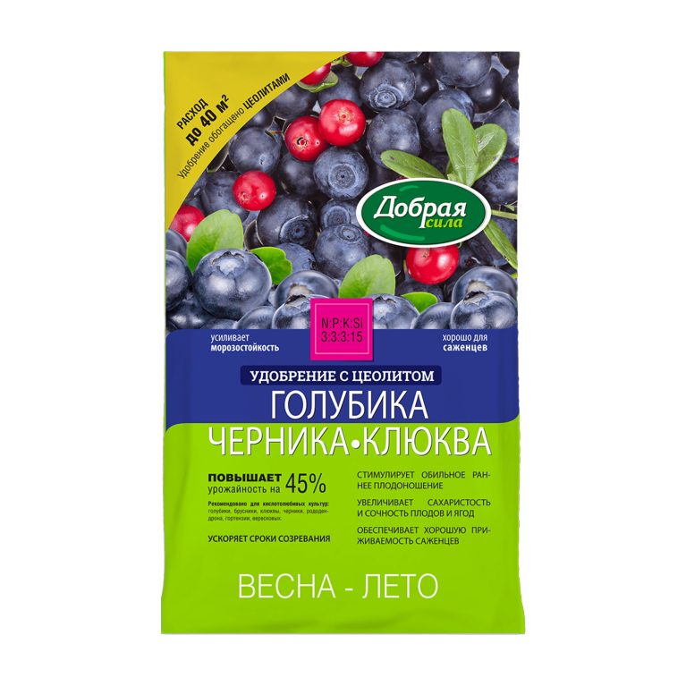 голубика черника клюква