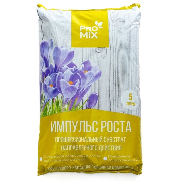 импульс роста