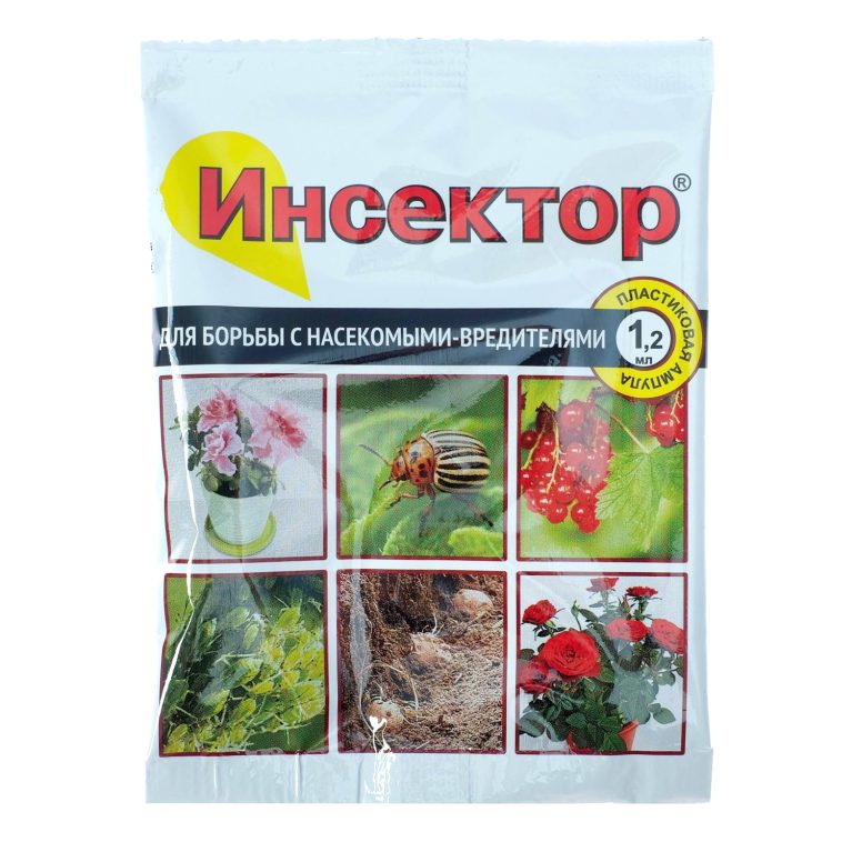 инспектор