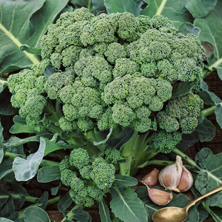 источник силы