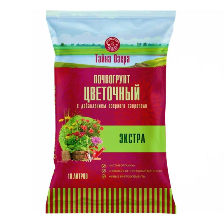экстра