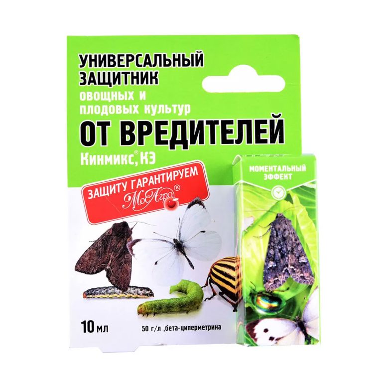 кинмикс ма