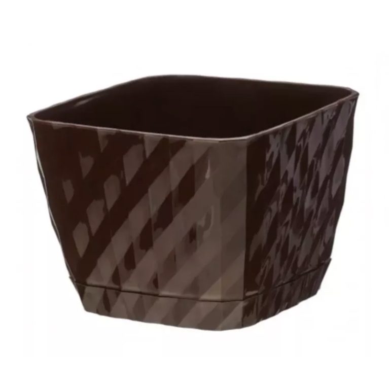 классика шоколад 2