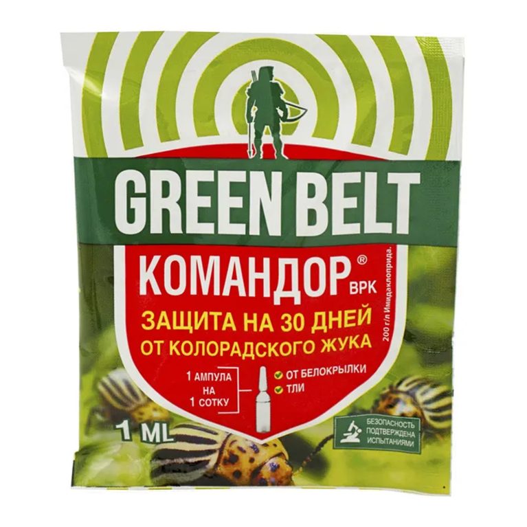 командор