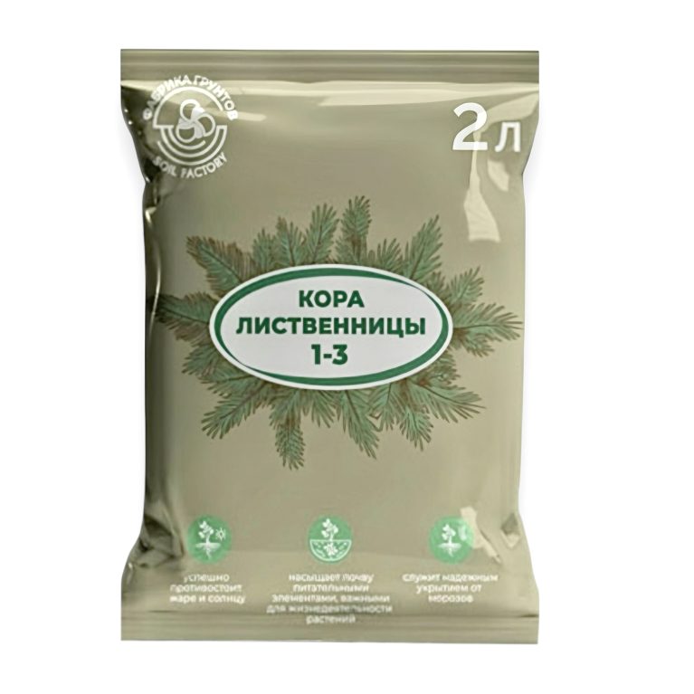кора лиственницы