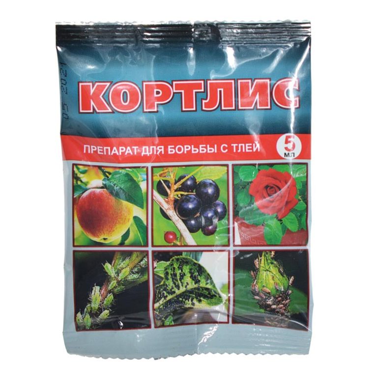 Кортлис