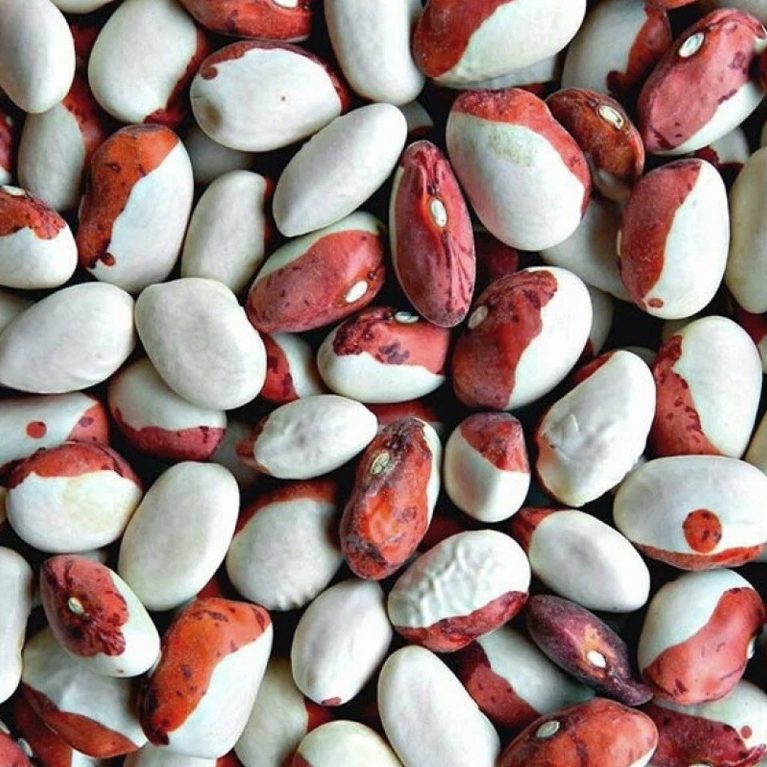 красная шапочка