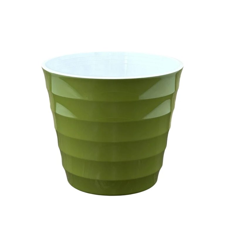 лаура папоротник 1,4