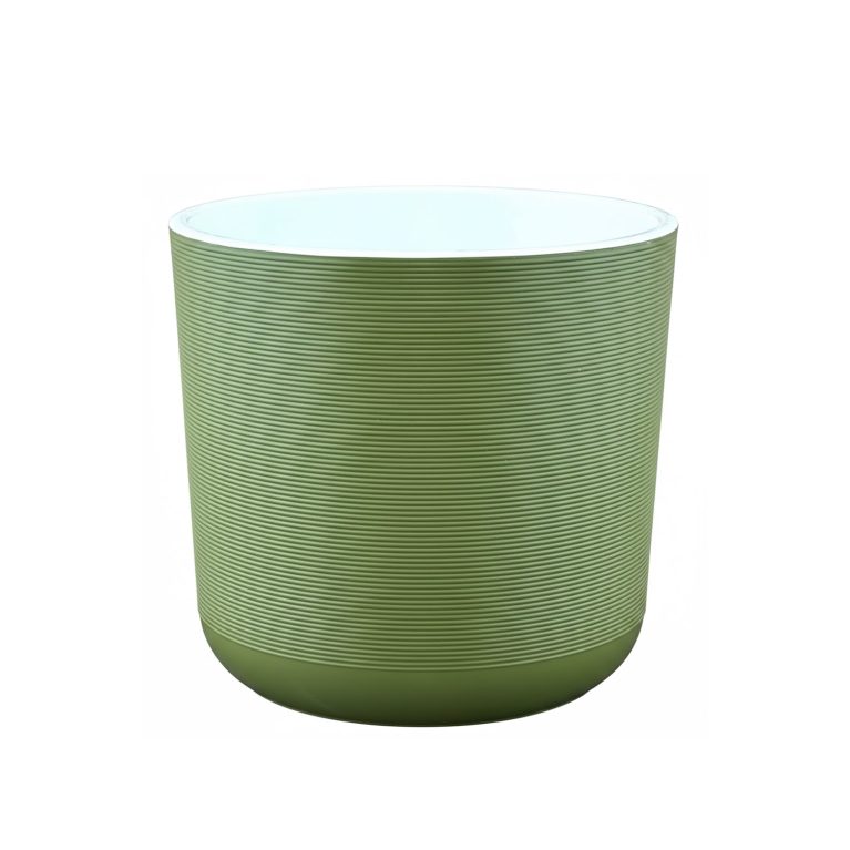 лион папортник 2