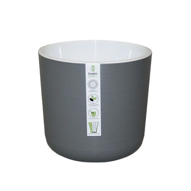 лион серый муссон 2