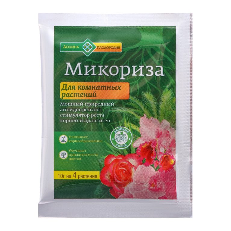 микориза