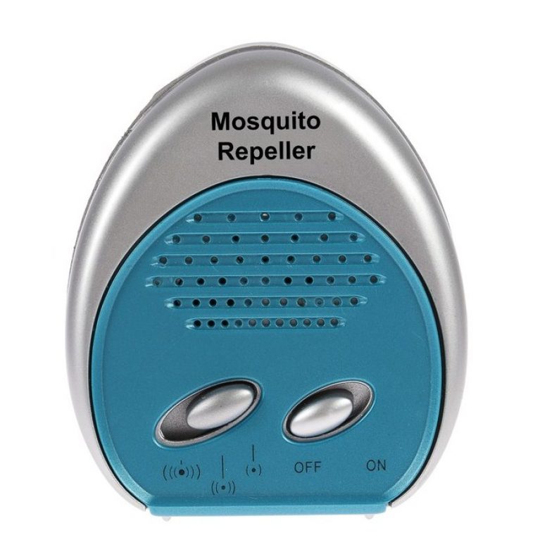 mosquito