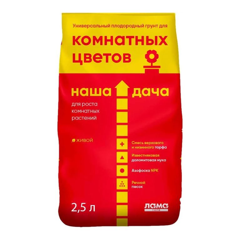 наша дача