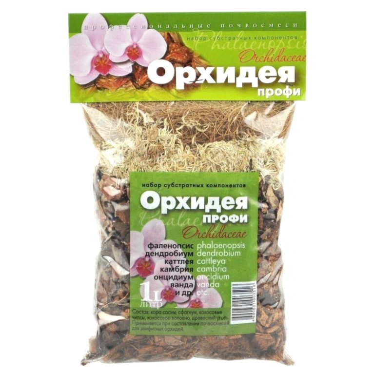 орхидея профи
