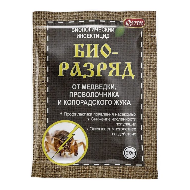 ортон
