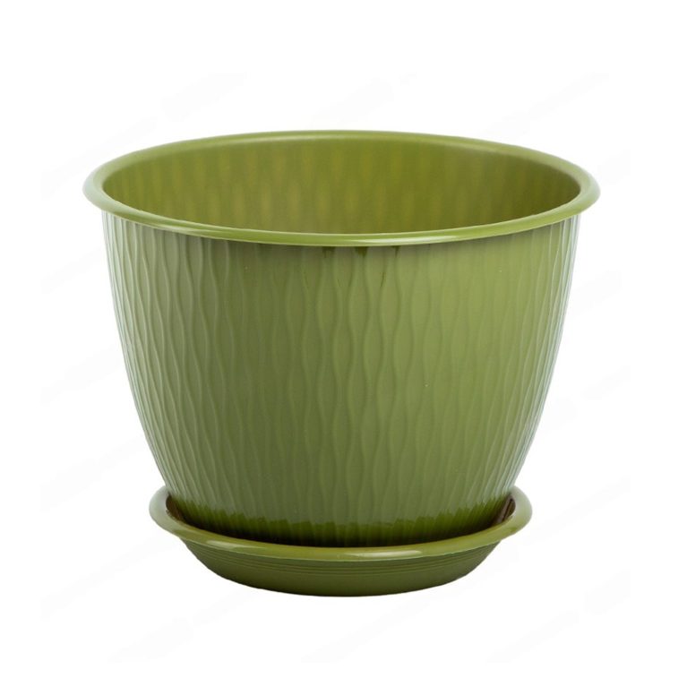 папоротник 1,8