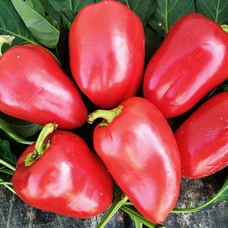 Перец сладкий ВИННИ-ПУХ 0,25г