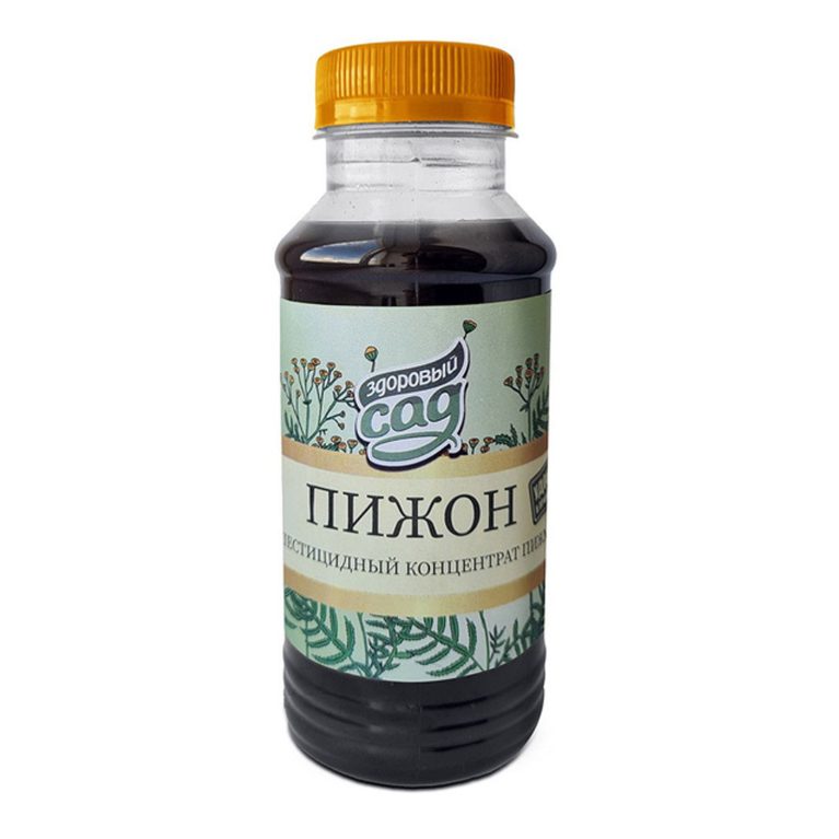 пижон