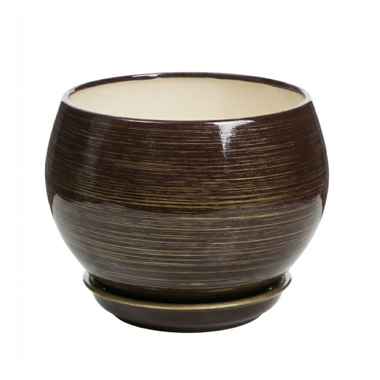 шоколад-золото