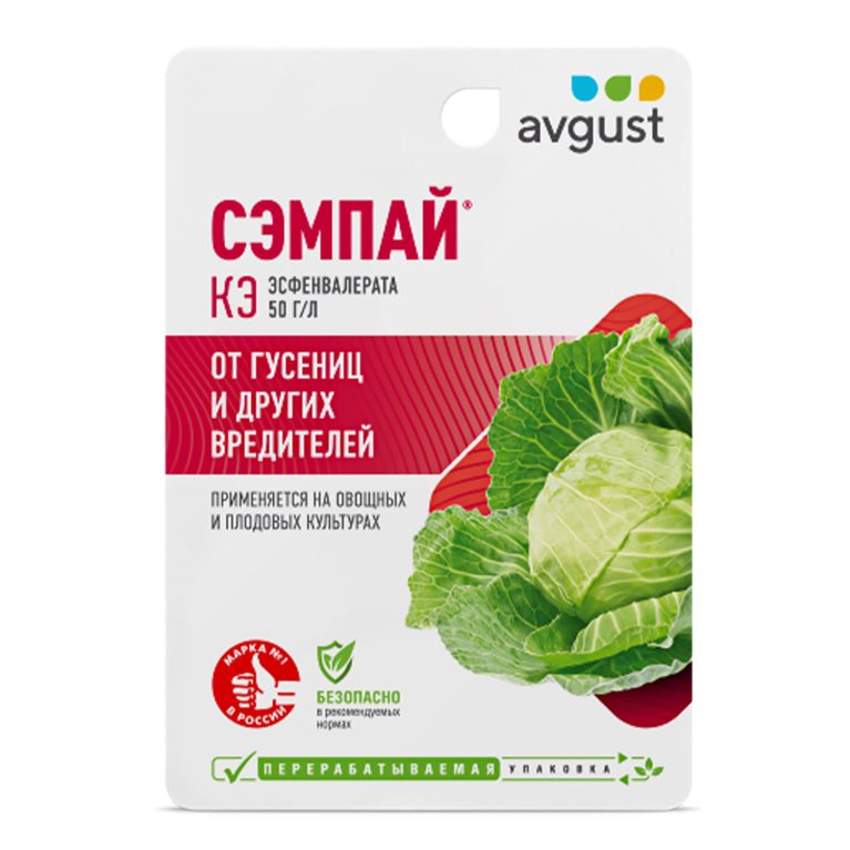 сэмпай
