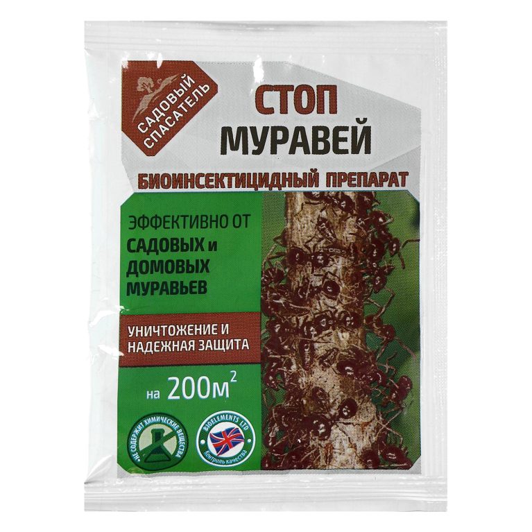 стоп муравей