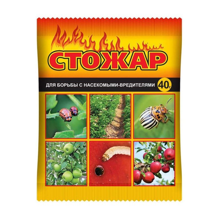 стожар 40 гр