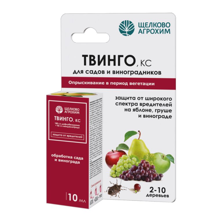 твинго