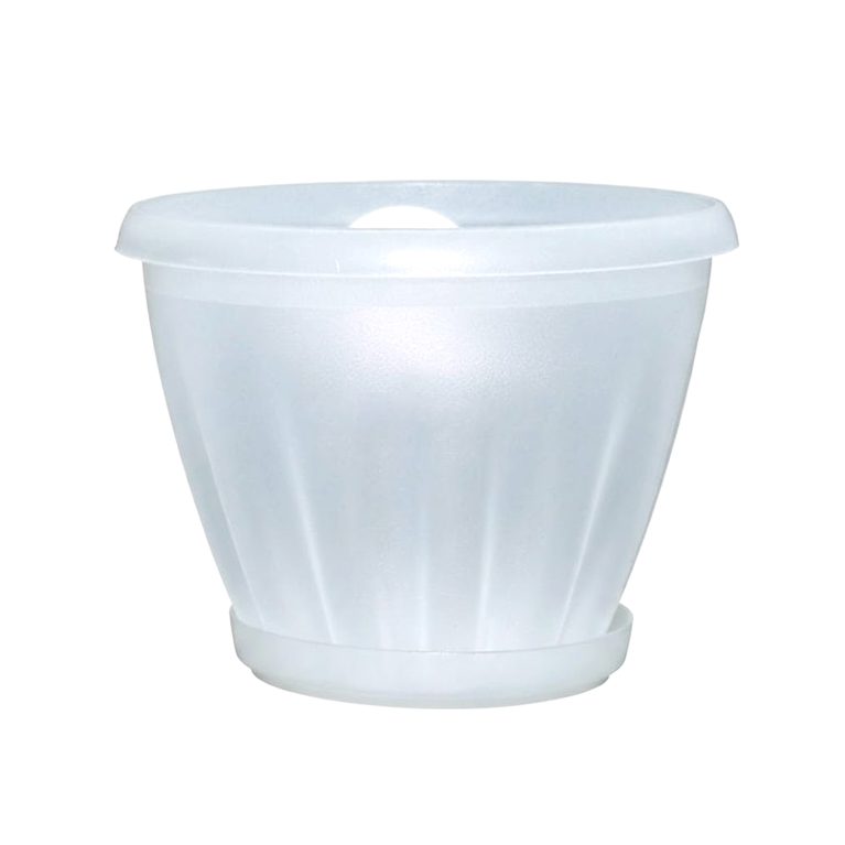 знатный прозрачный 2