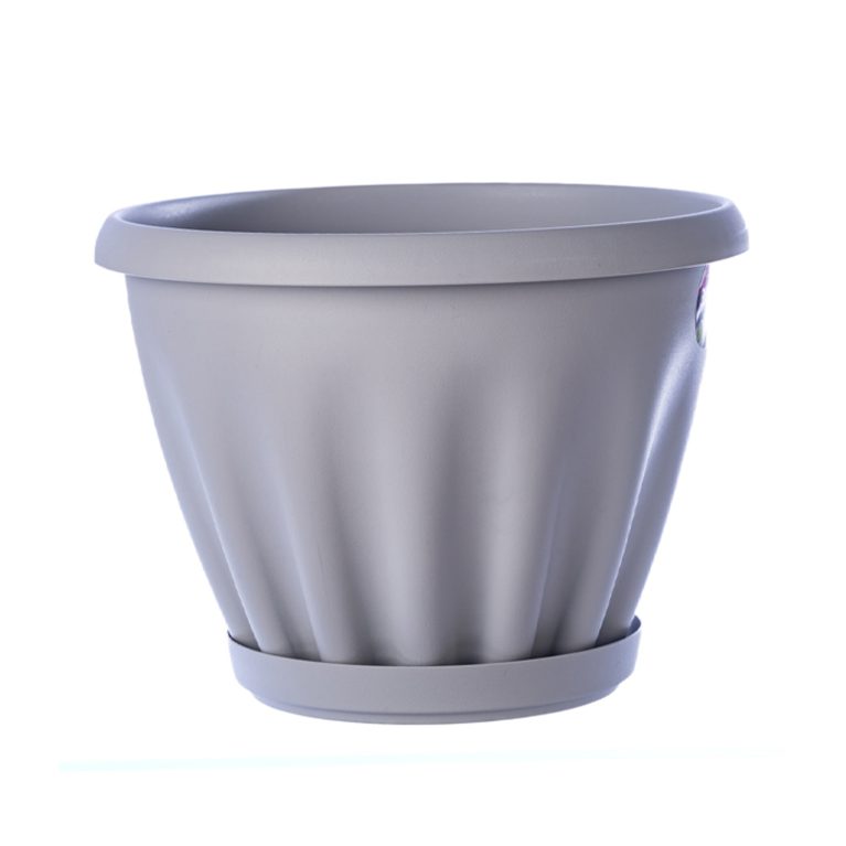 знатный серый 2