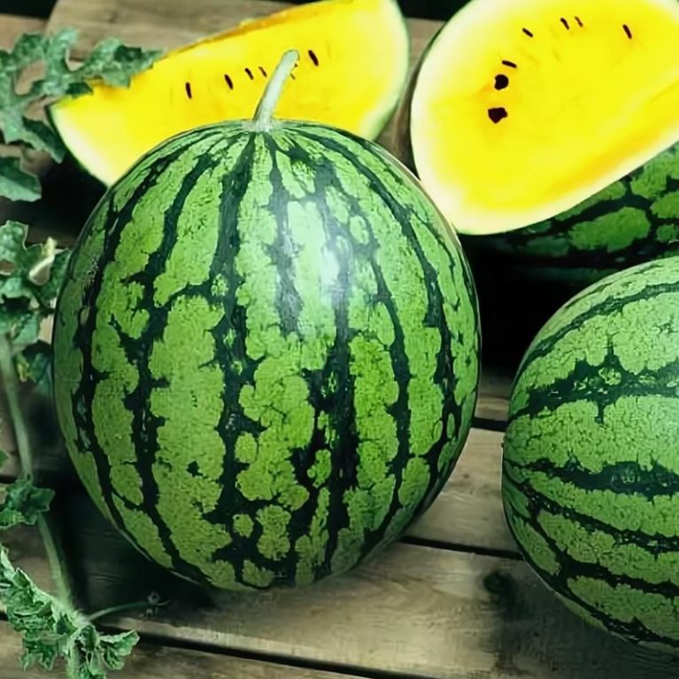 Арбуз ЧУДО ЯГОДА