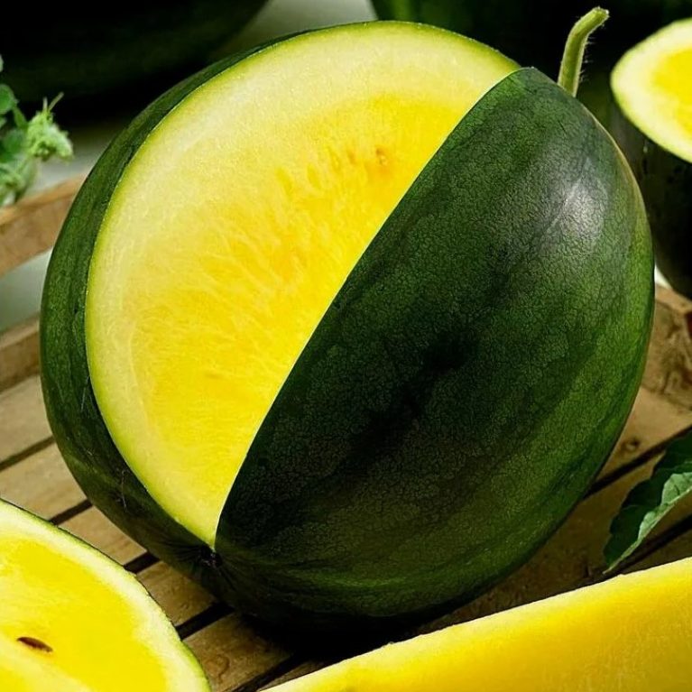 Арбуз ЯНОСИК