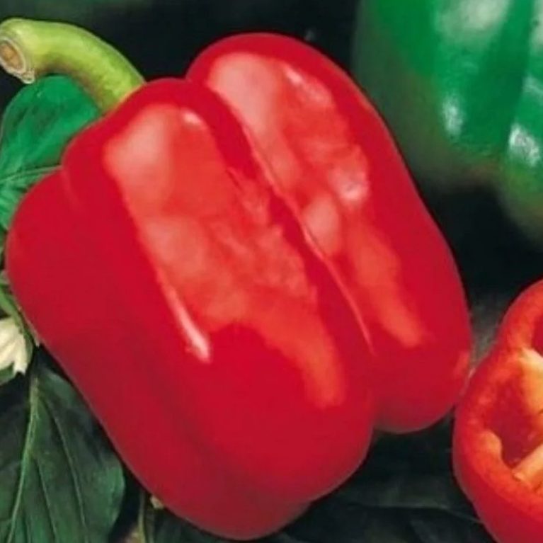 Перец сладкий КРАСНОЕ ЧУДО, 0.25г