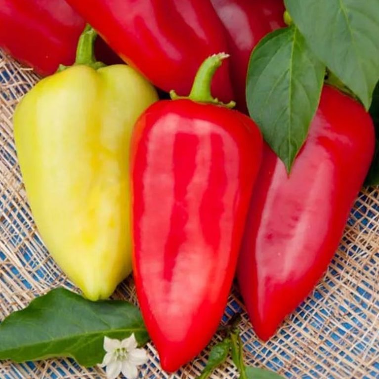 Перец сладкий МОРОЗКО, 0.25г