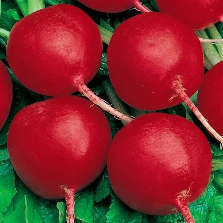 Редис ДАНКО