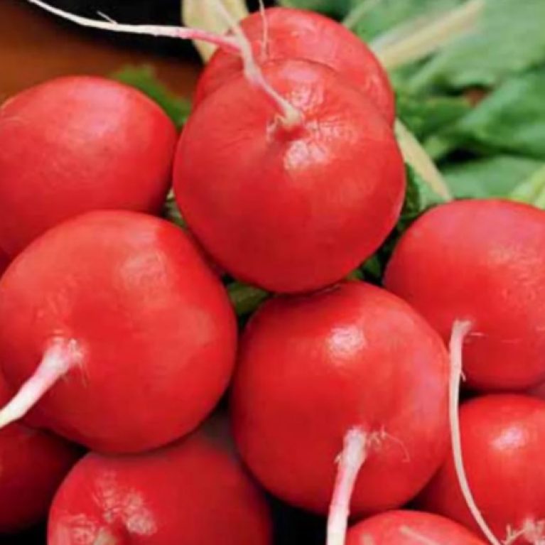 Редис ДУРО КРАСНОДАРСКОЕ