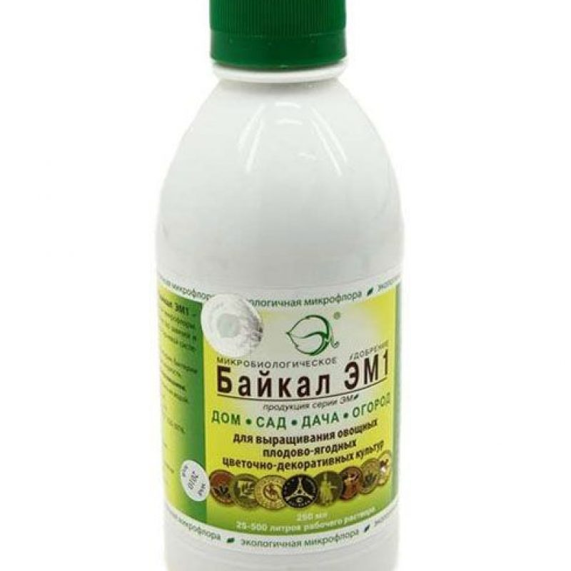 байкал эм1