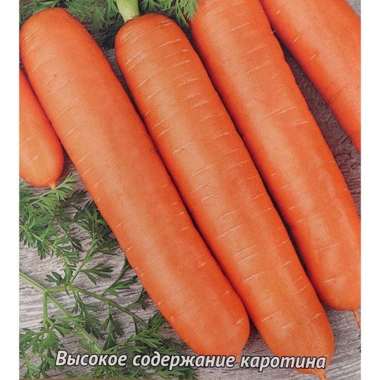 бейби 01