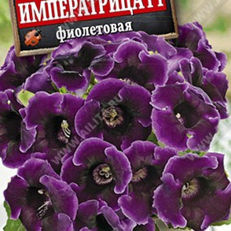 императрица ф1