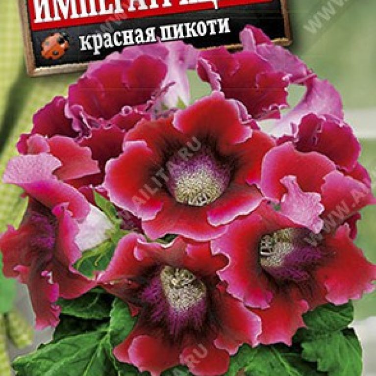 императрица ф1 красная