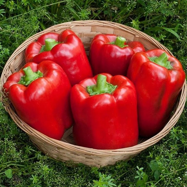 калифор. чудо