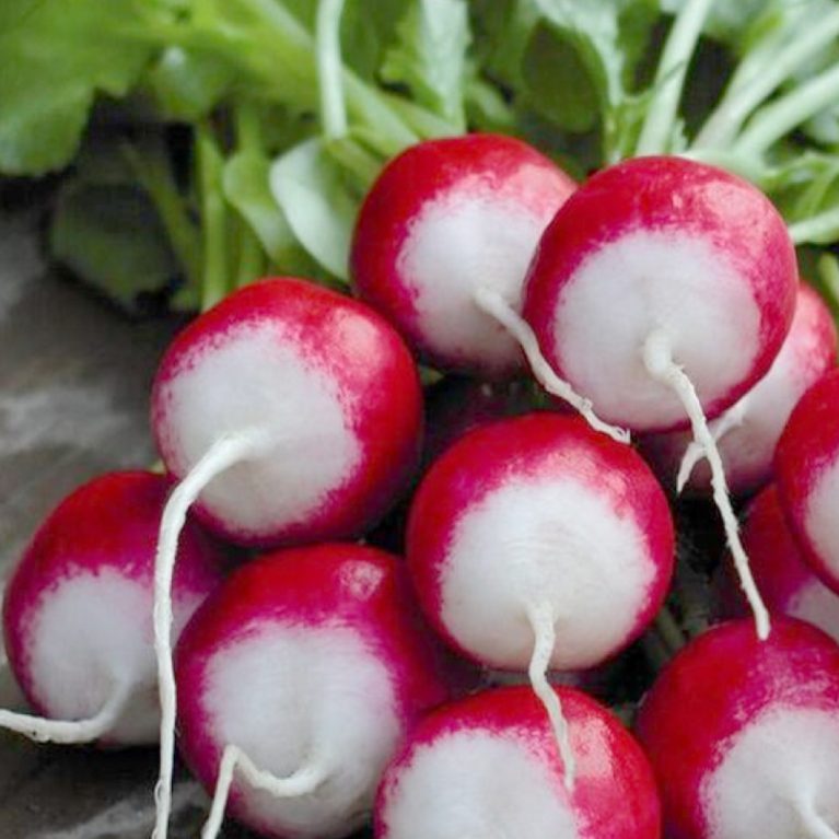 кинг-конг 09