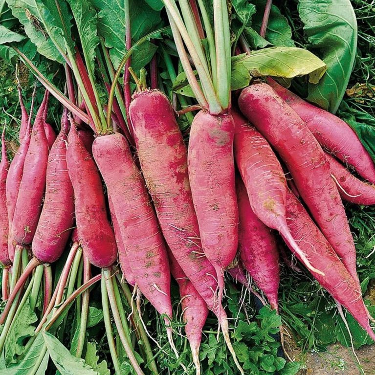 красный великан 11