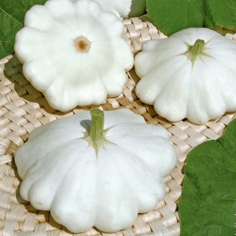 нло 42