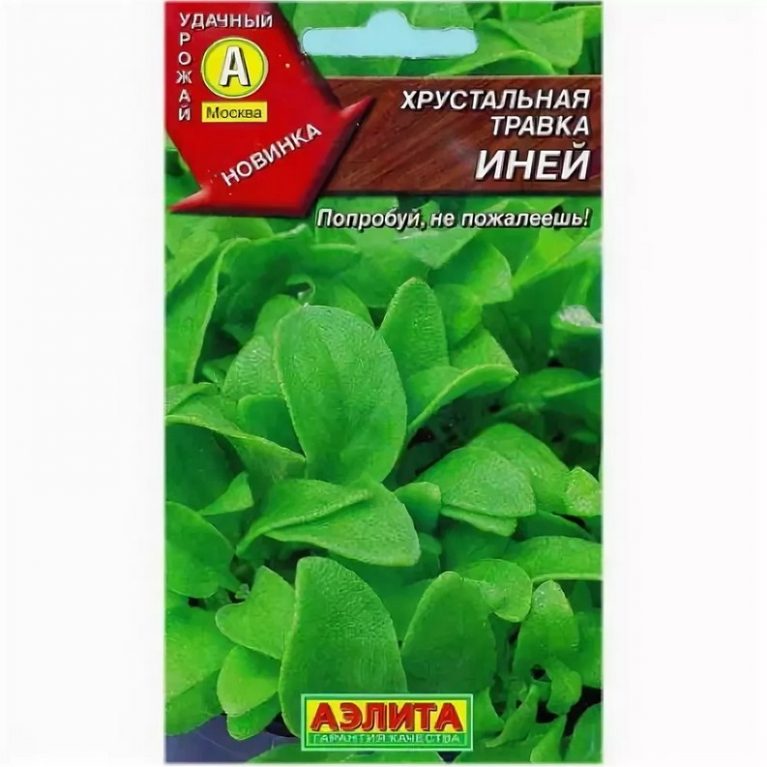 травка иней