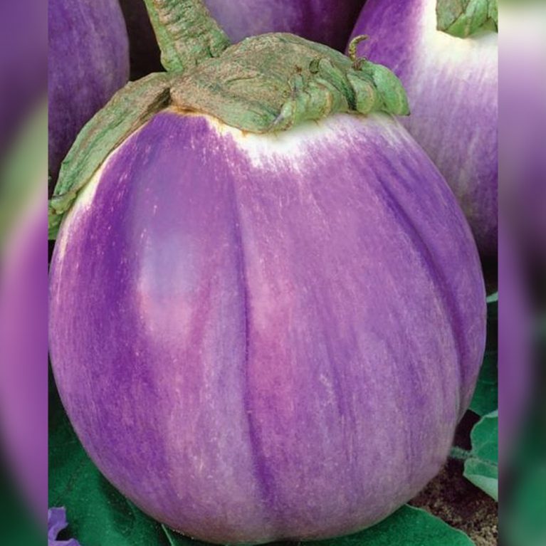 флоренция