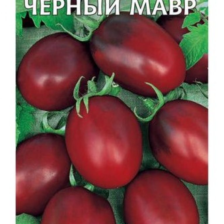 черный мавр гавр